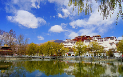 旅游管理